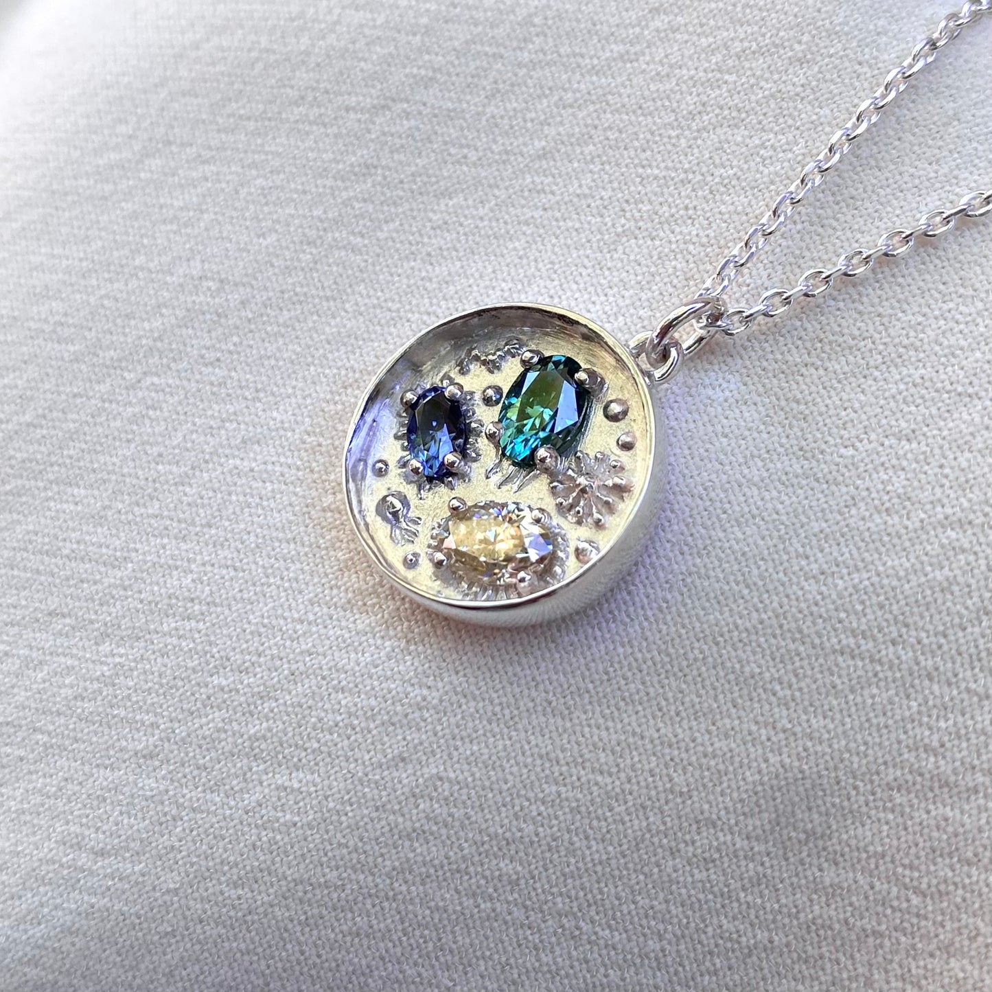 Collana Piastra di Petri per Biologia