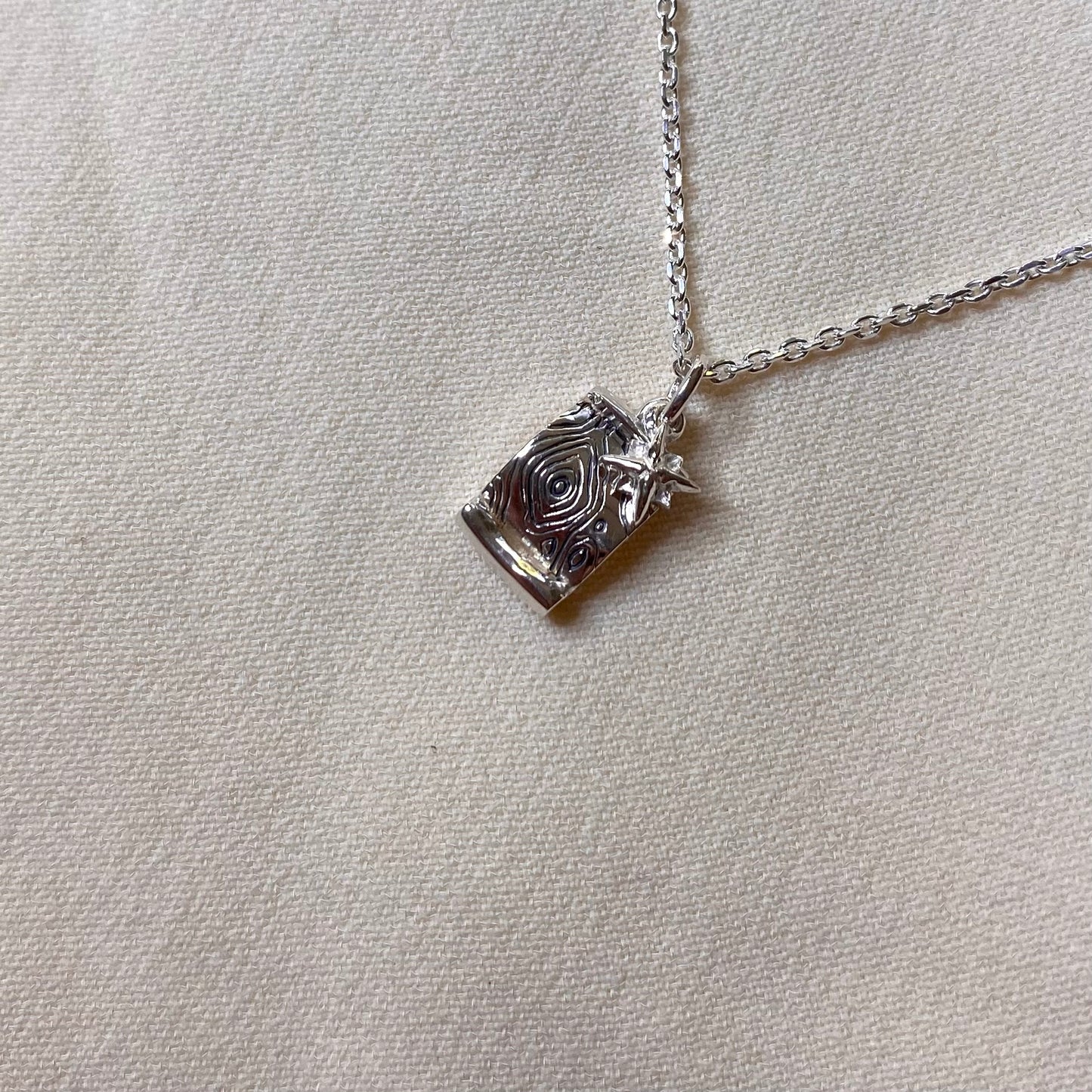 Collana Mappa topografica e rosa dei venti per Geografia