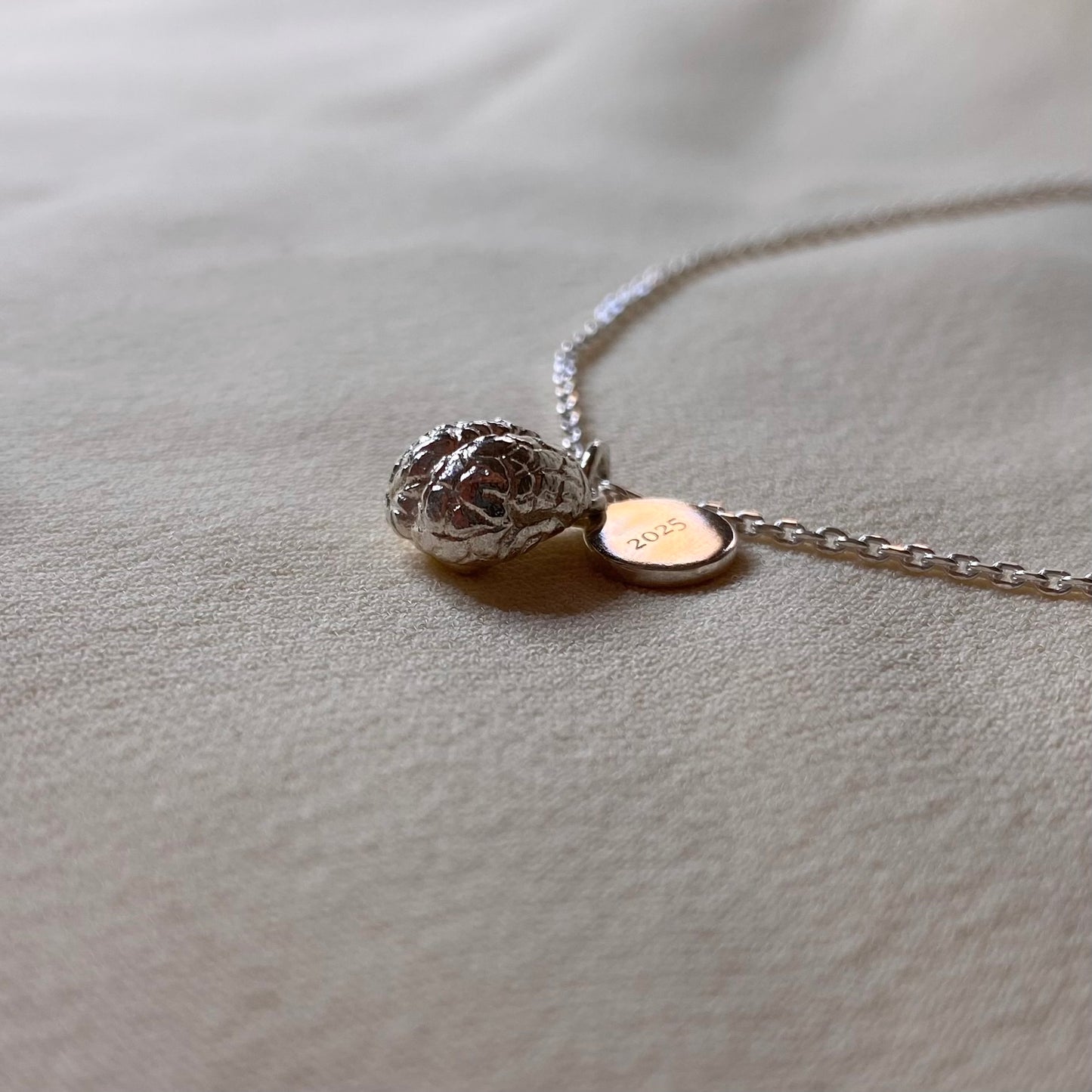 Collana Cervello per Neuroscienze