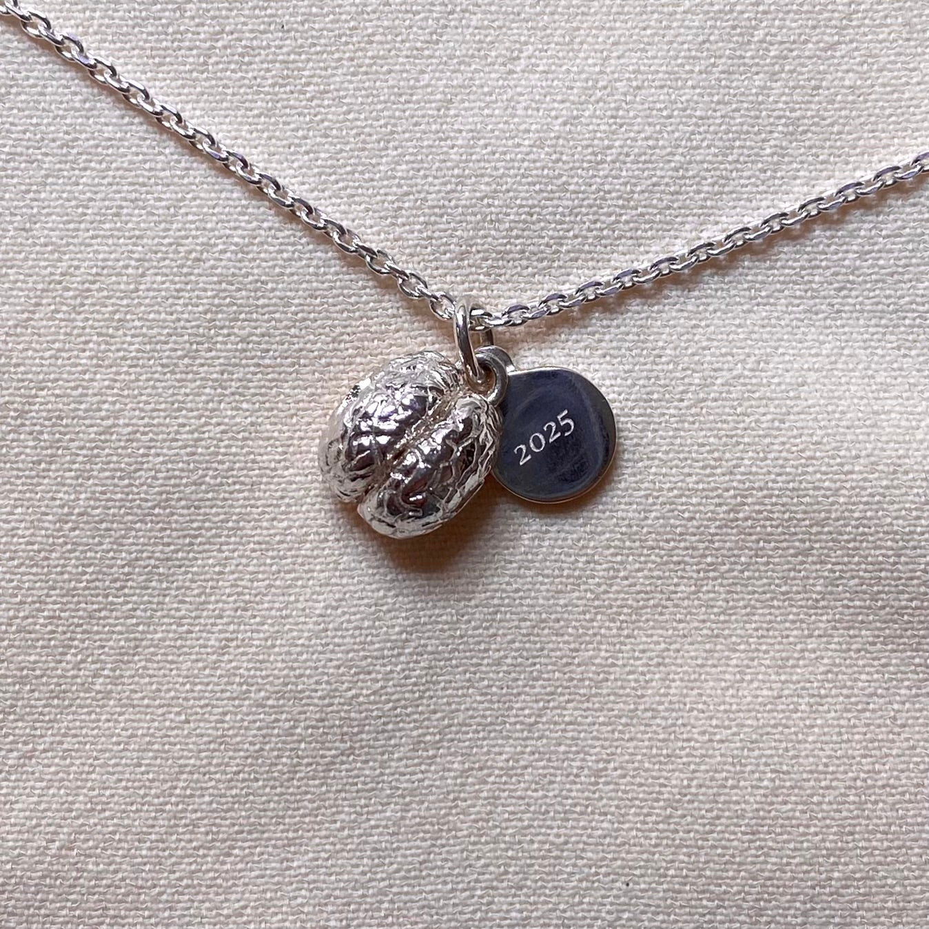 Collana Cervello per Neuroscienze