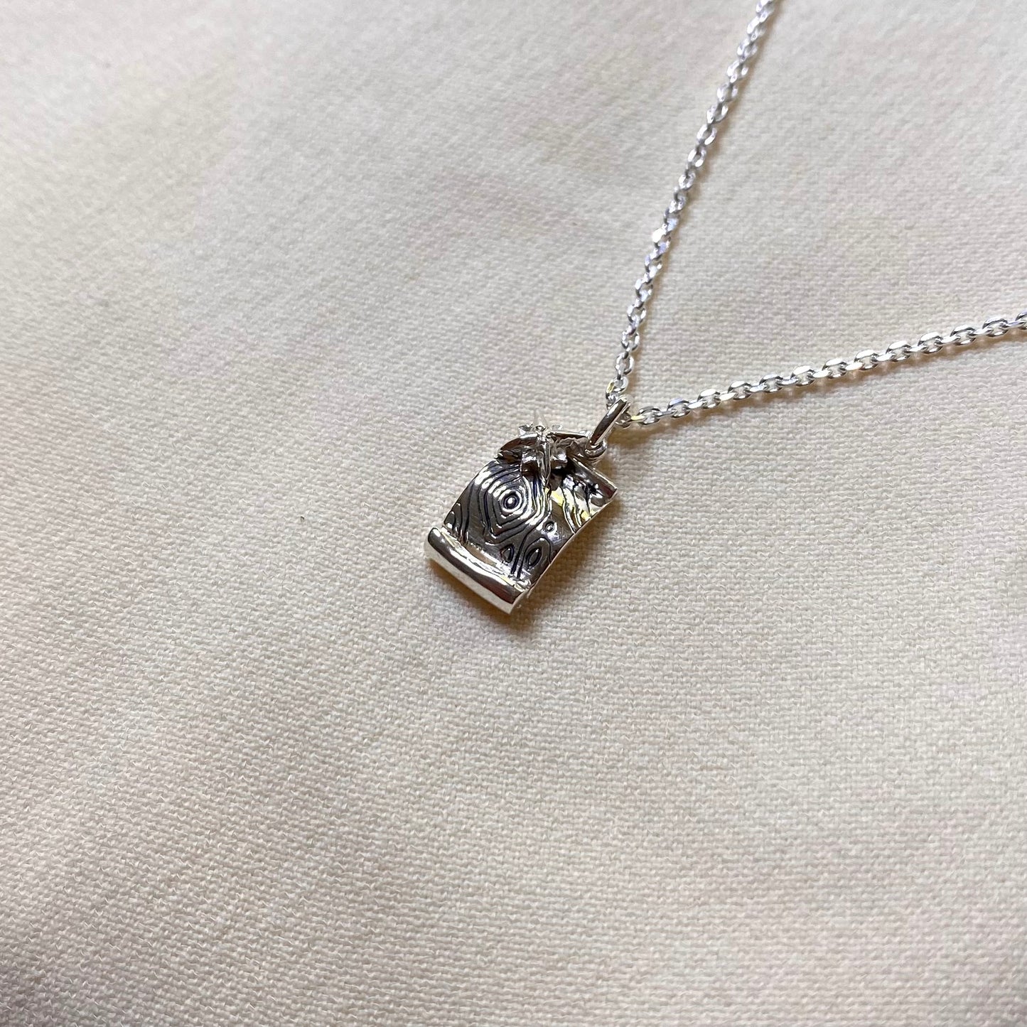 Collana Mappa topografica e rosa dei venti per Geografia