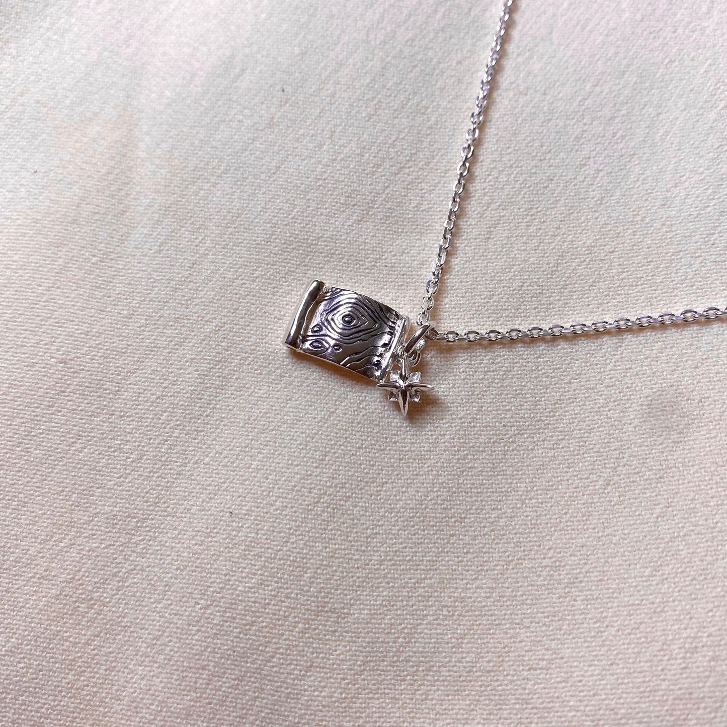 Collana Mappa topografica e rosa dei venti per Geografia