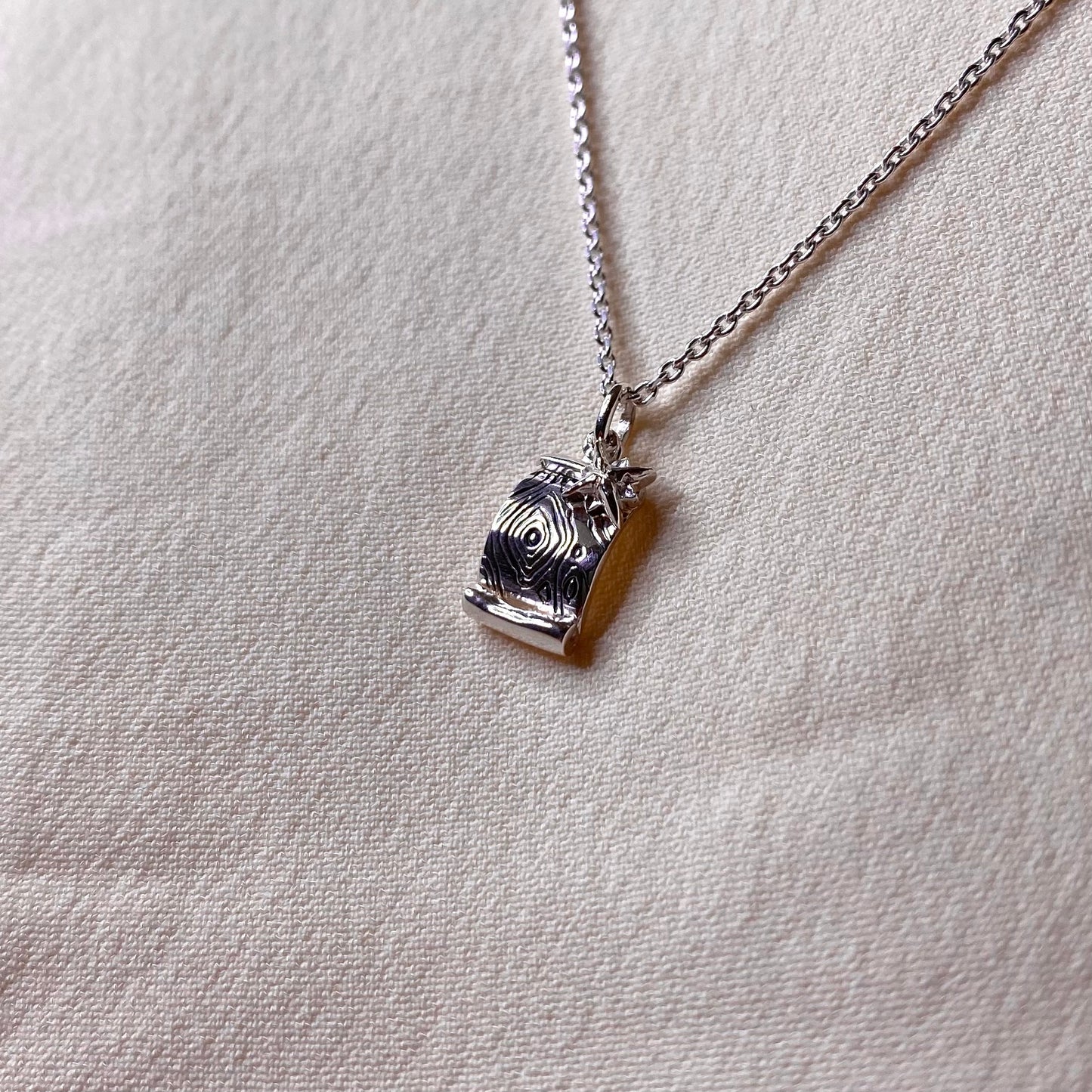 Collana Mappa topografica e rosa dei venti per Geografia