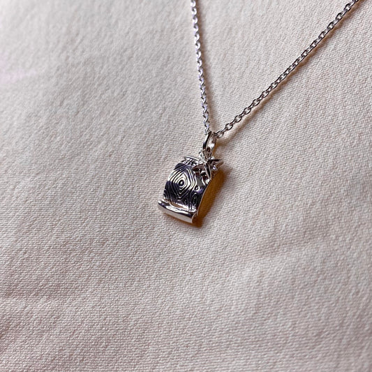 Collana Mappa topografica e rosa dei venti per Geografia