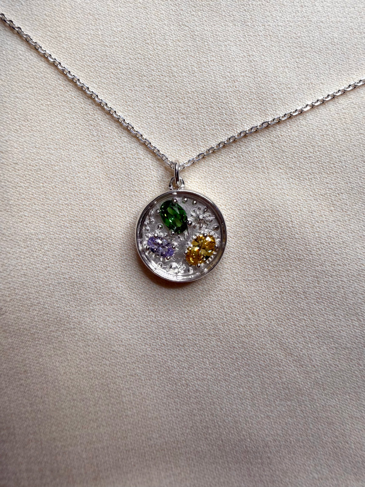 Collana Piastra di Petri per Biologia