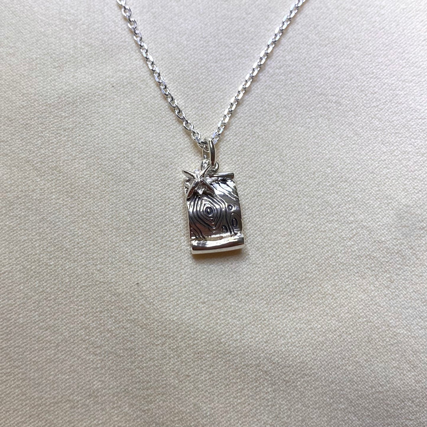 Collana Mappa topografica e rosa dei venti per Geografia