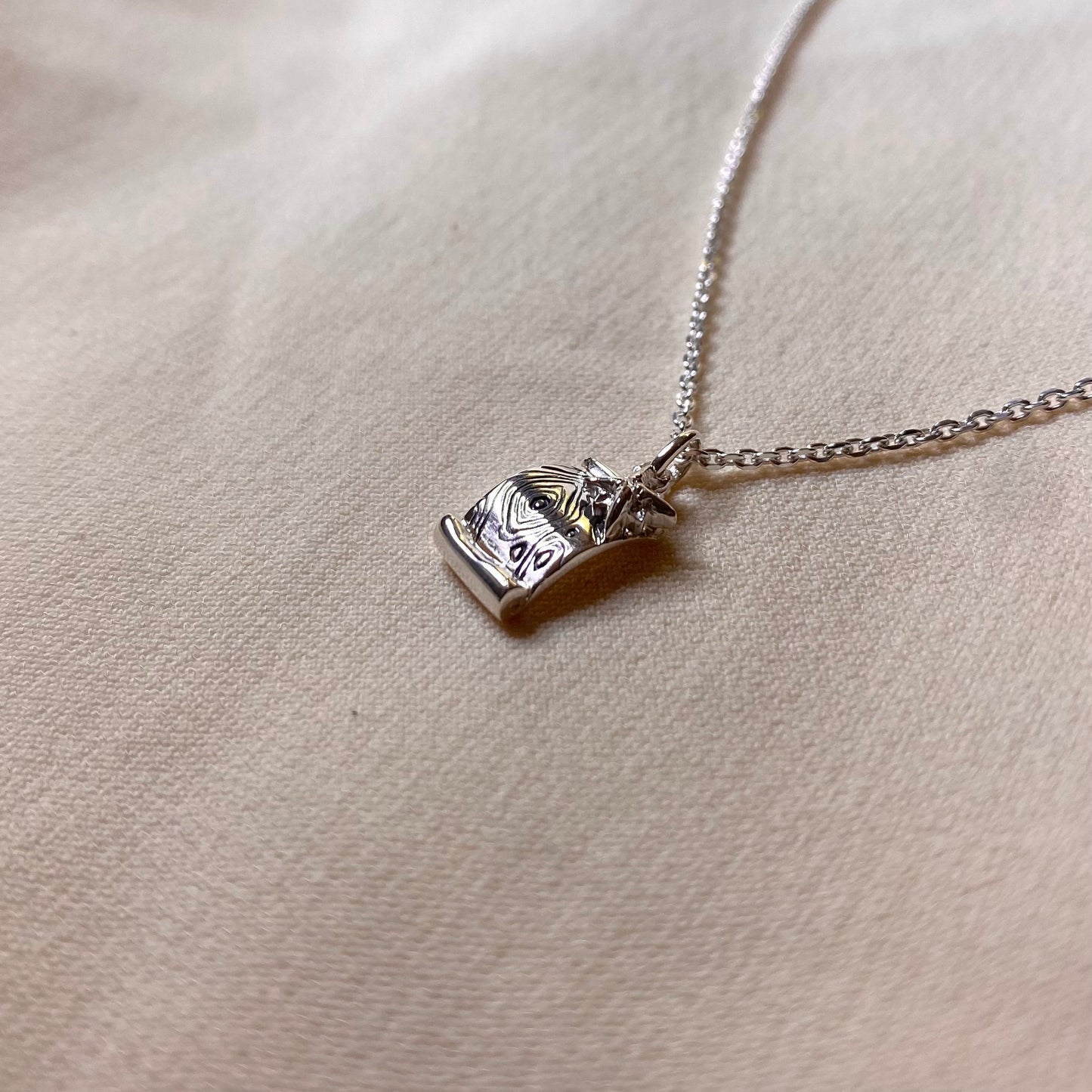 Collana Mappa topografica e rosa dei venti per Geografia