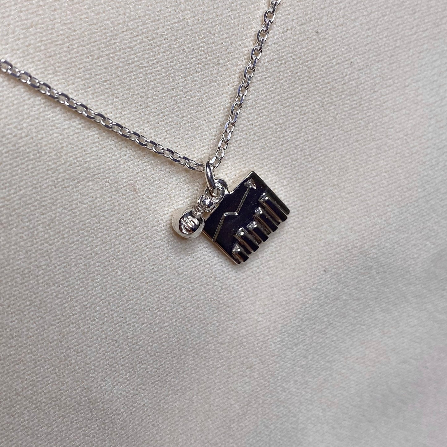 Ciondolo Grafico e Sacchetto con monete per Economia